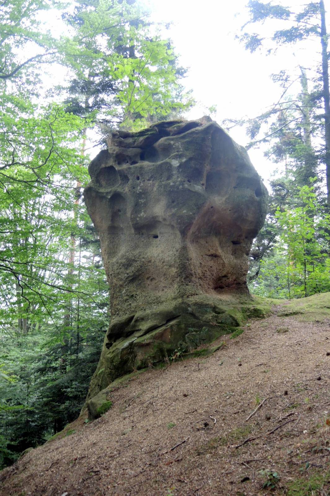 Zdjęcie 1