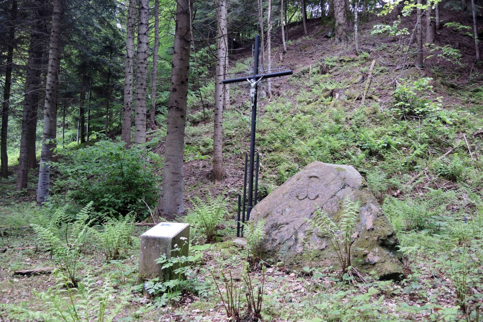 Zdjęcie 4