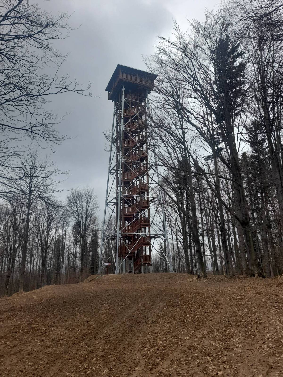 Zdjęcie 3