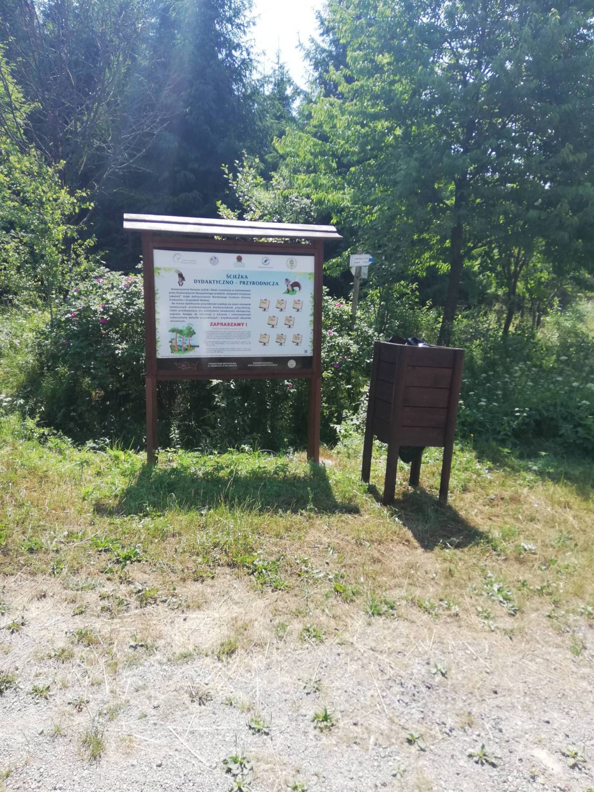 Zdjęcie 2