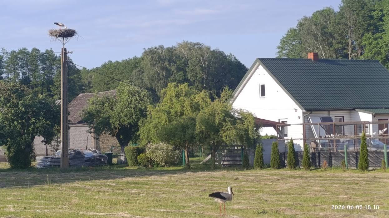 Zdjęcie 3