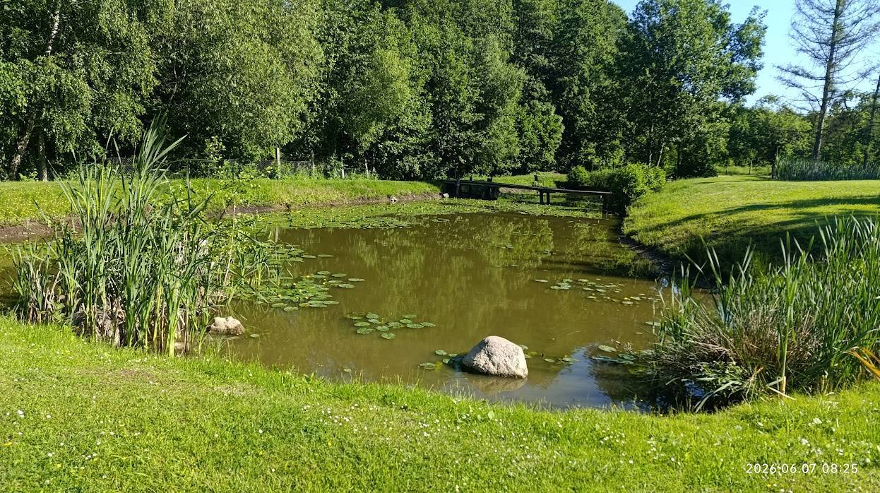 Zdjęcie 3