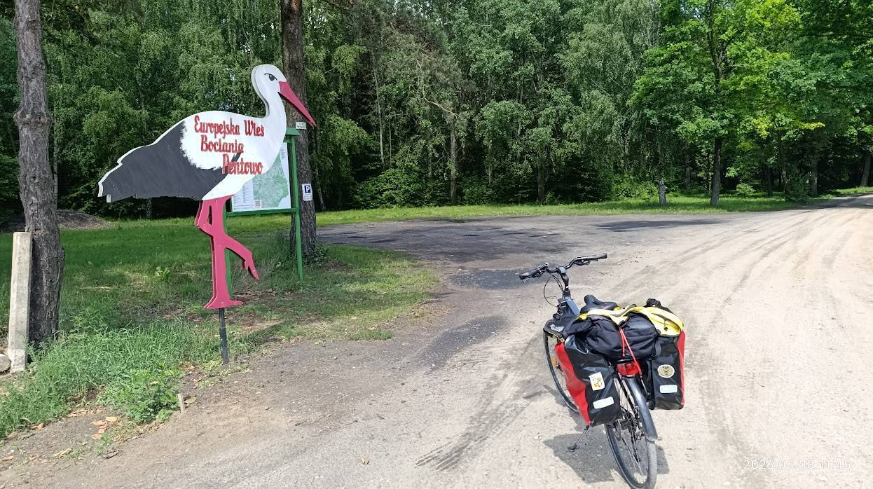 Zdjęcie 2