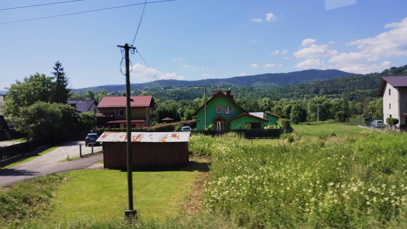 Zdjęcie 5