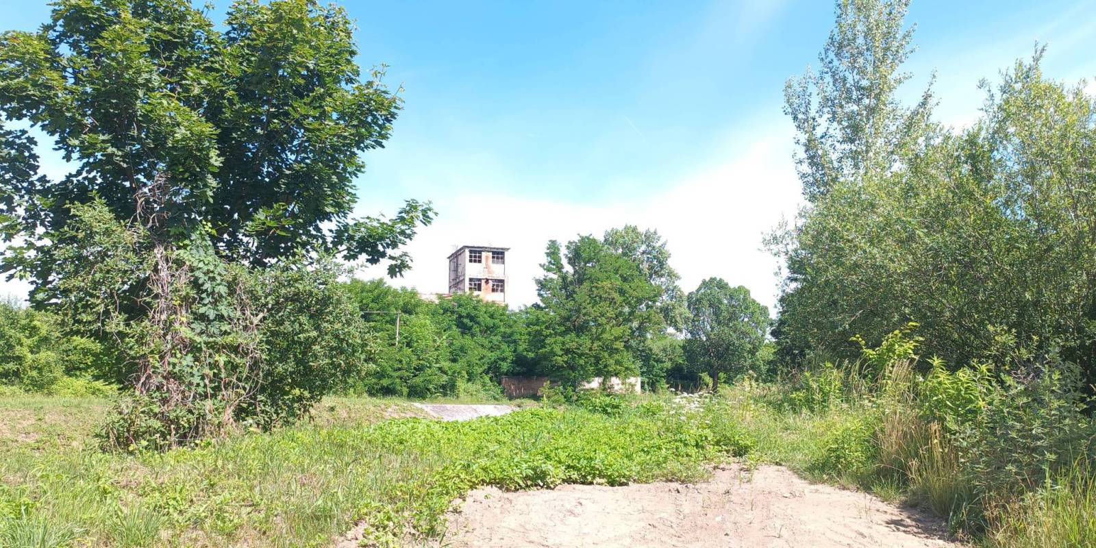 Zdjęcie 6
