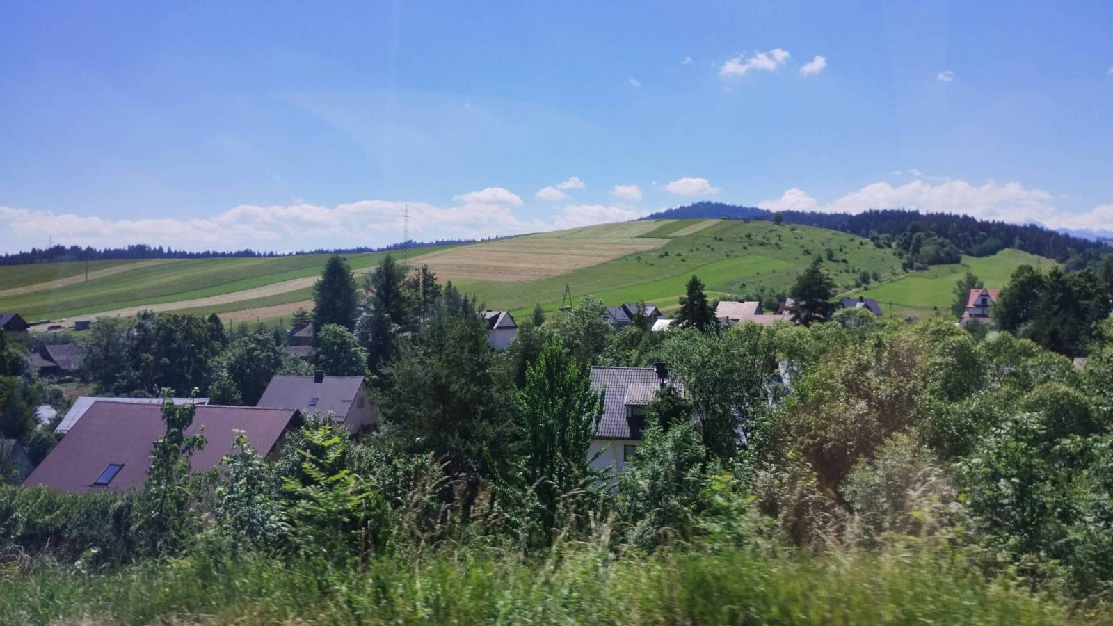 Zdjęcie 2