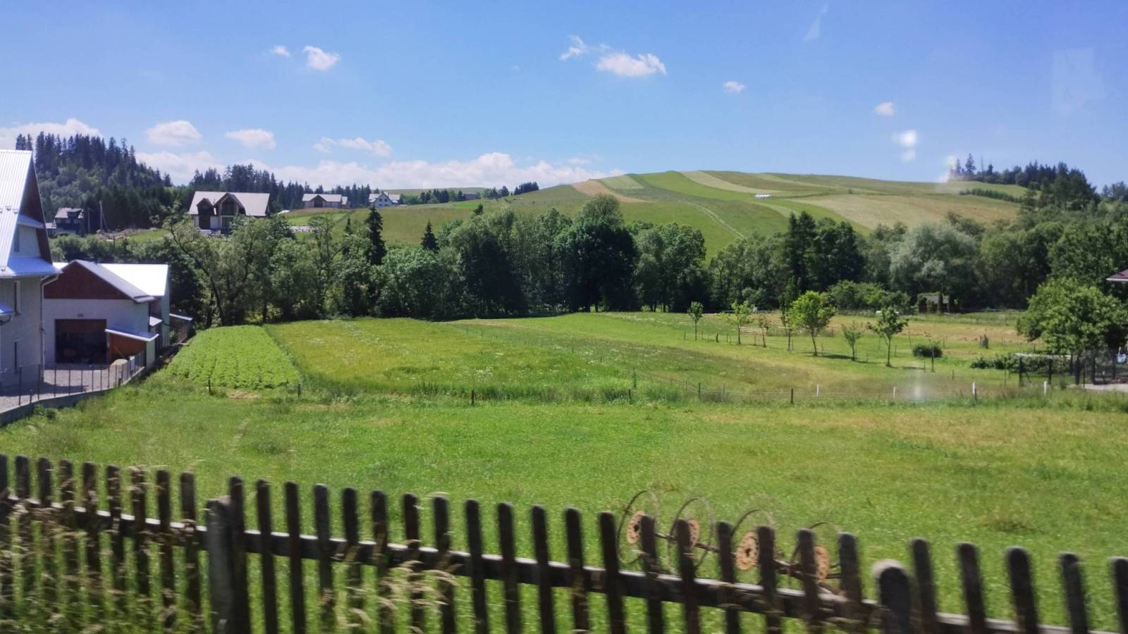 Zdjęcie 3