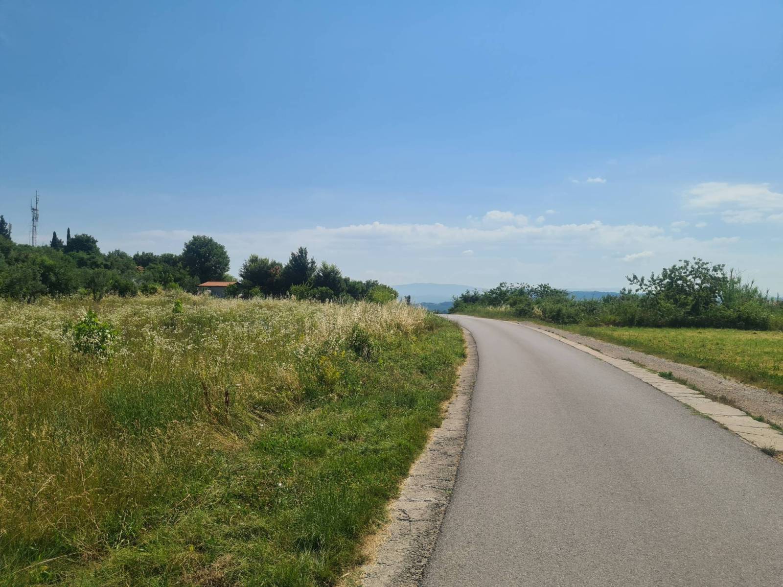 Zdjęcie 6