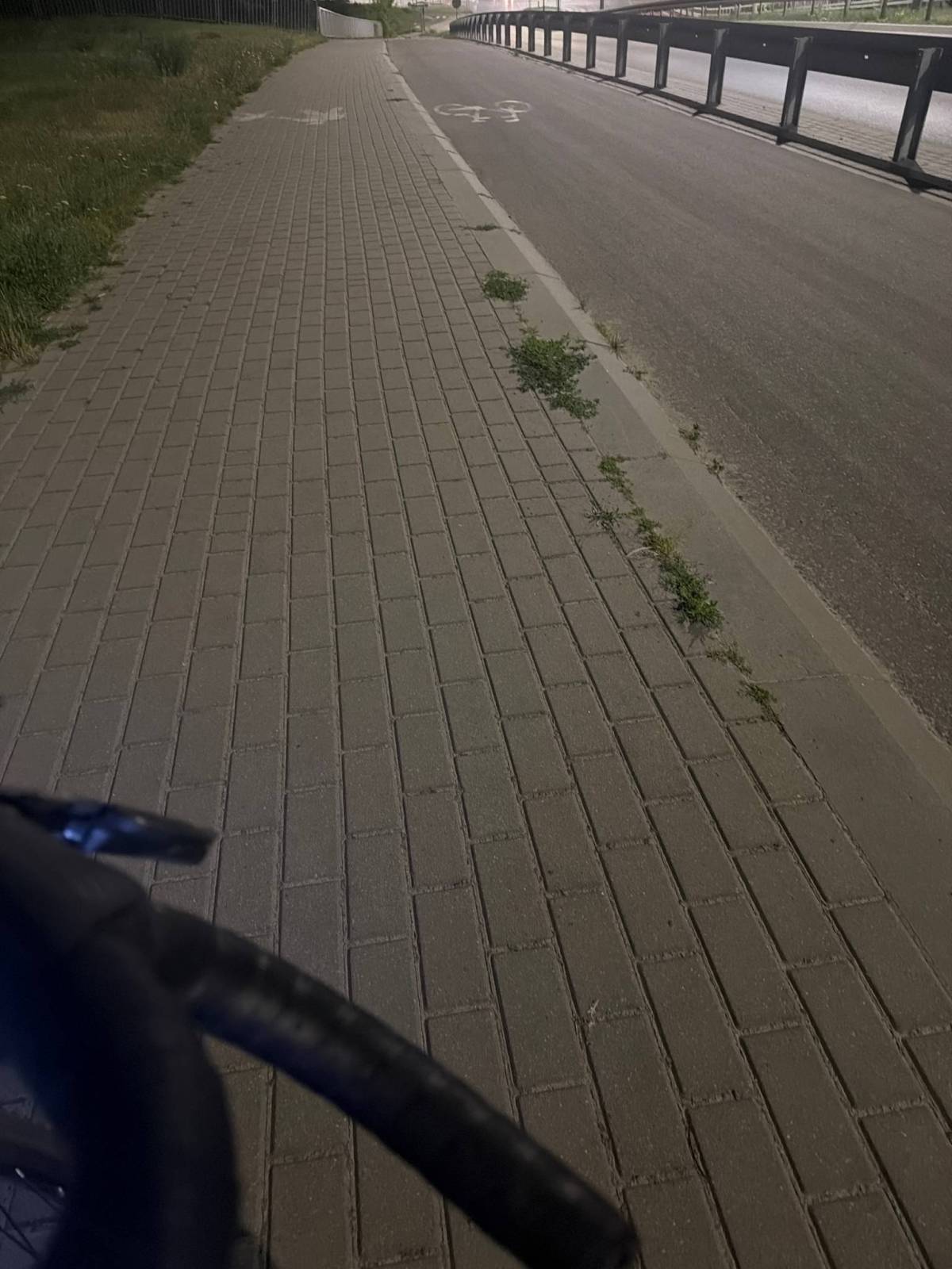Zdjęcie 1