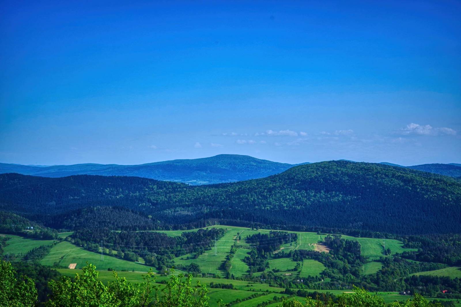 Zdjęcie 3