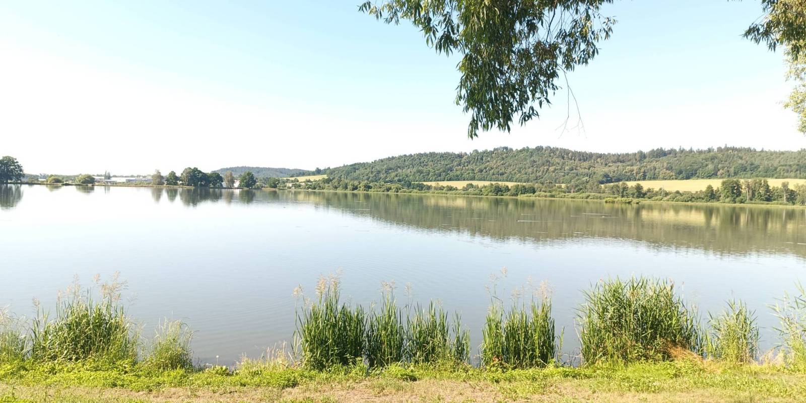 Zdjęcie 3