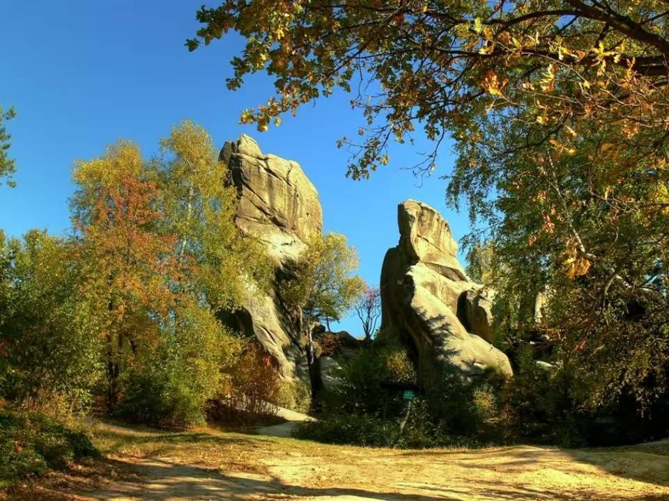 Zdjęcie 3