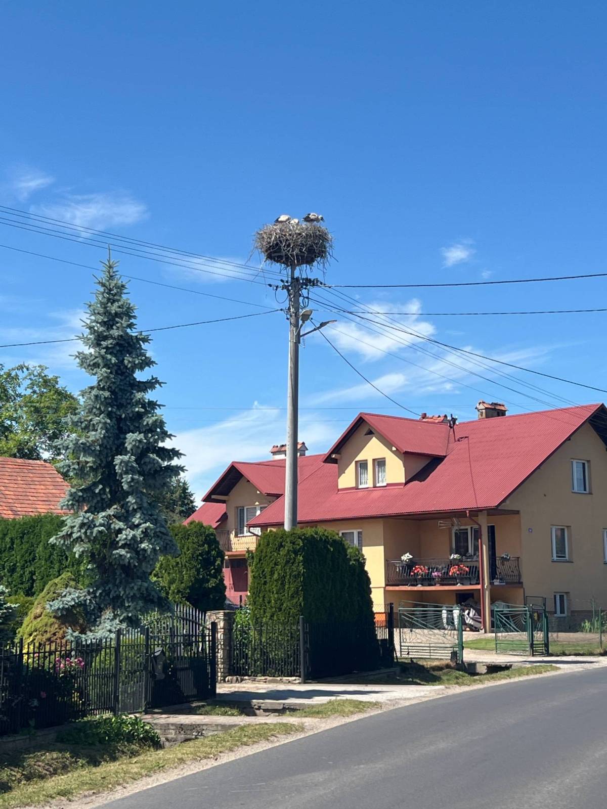Zdjęcie 4