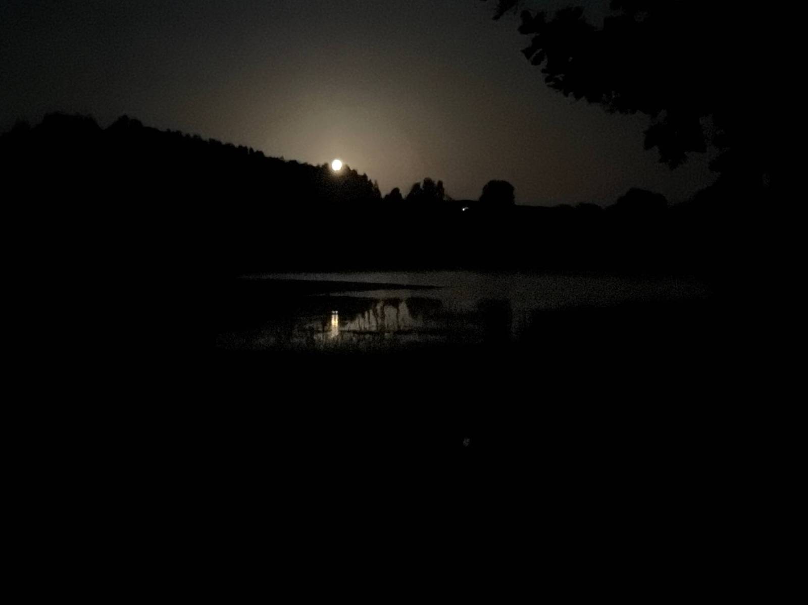Zdjęcie 5