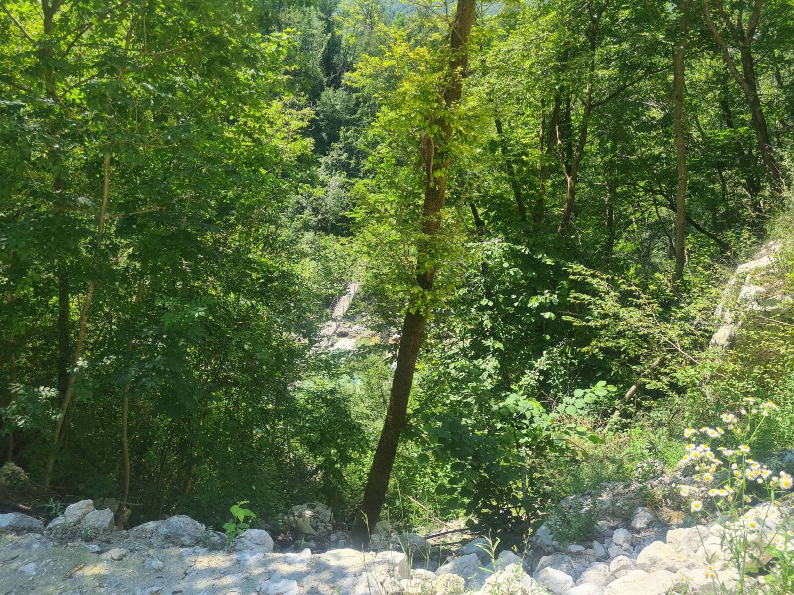 Zdjęcie 2