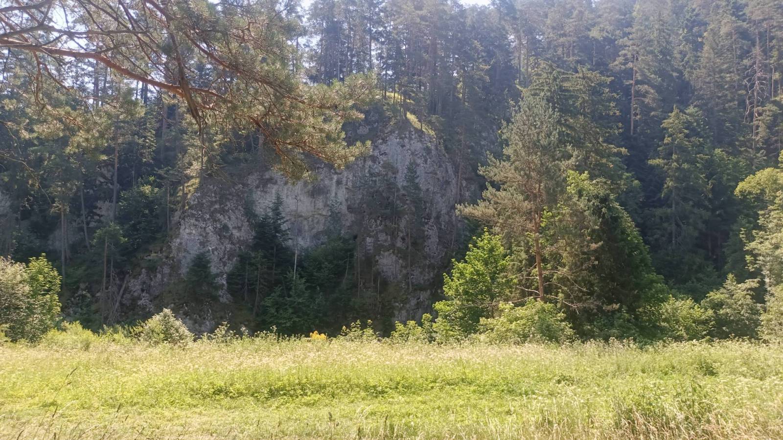 Zdjęcie 5