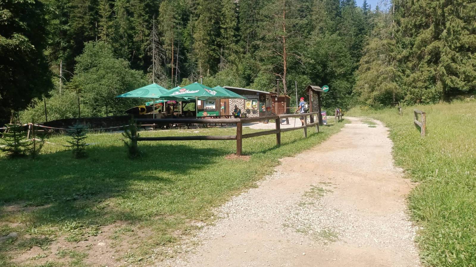 Zdjęcie 6