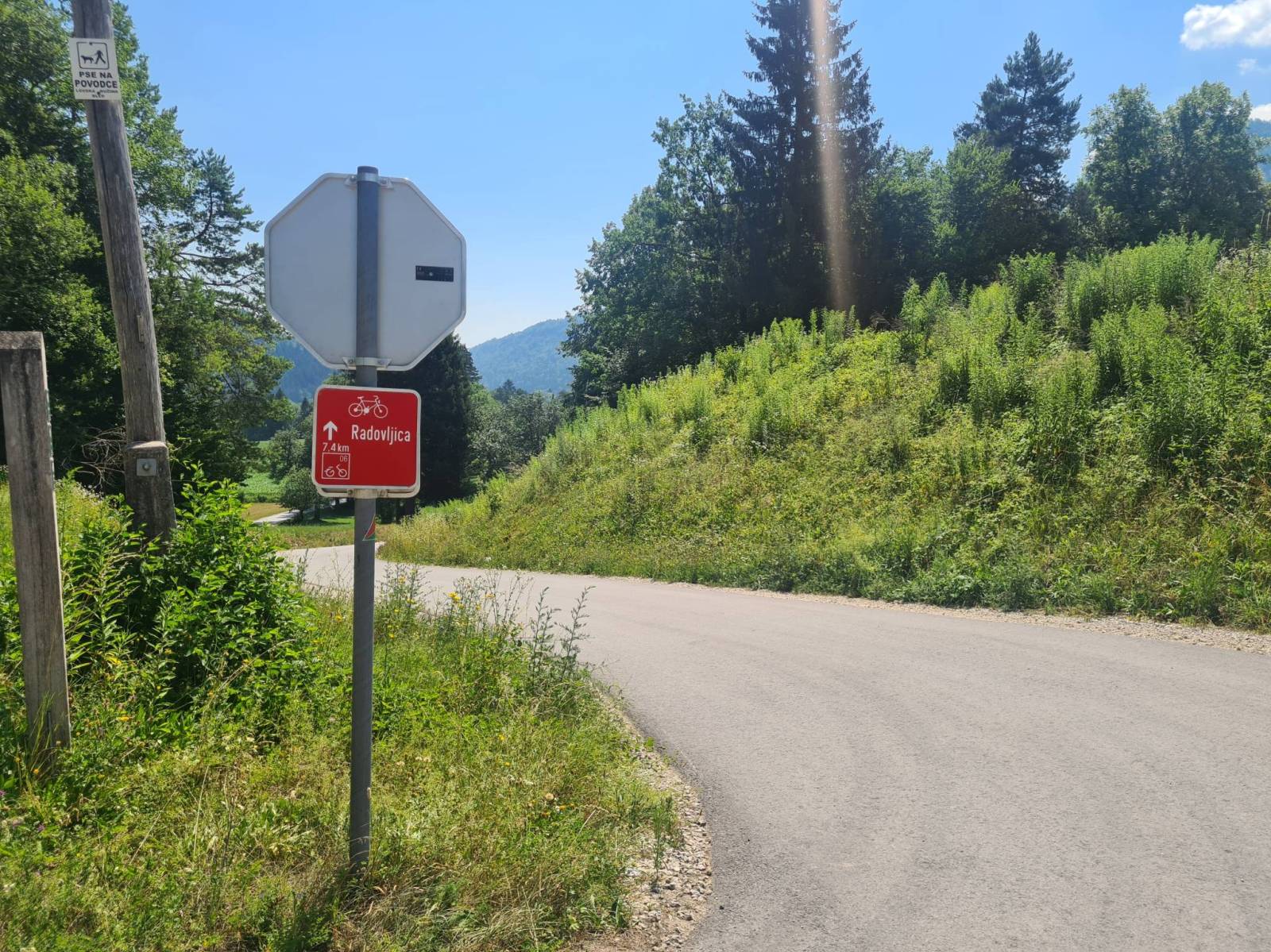 Zdjęcie 6