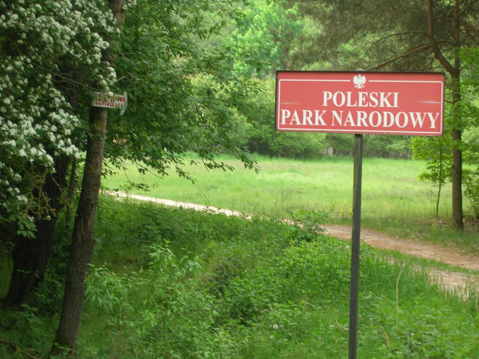 Zdjęcie 6