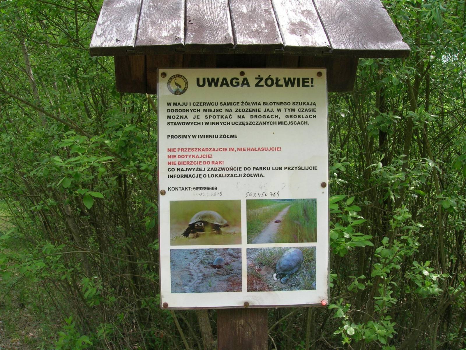 Zdjęcie 3