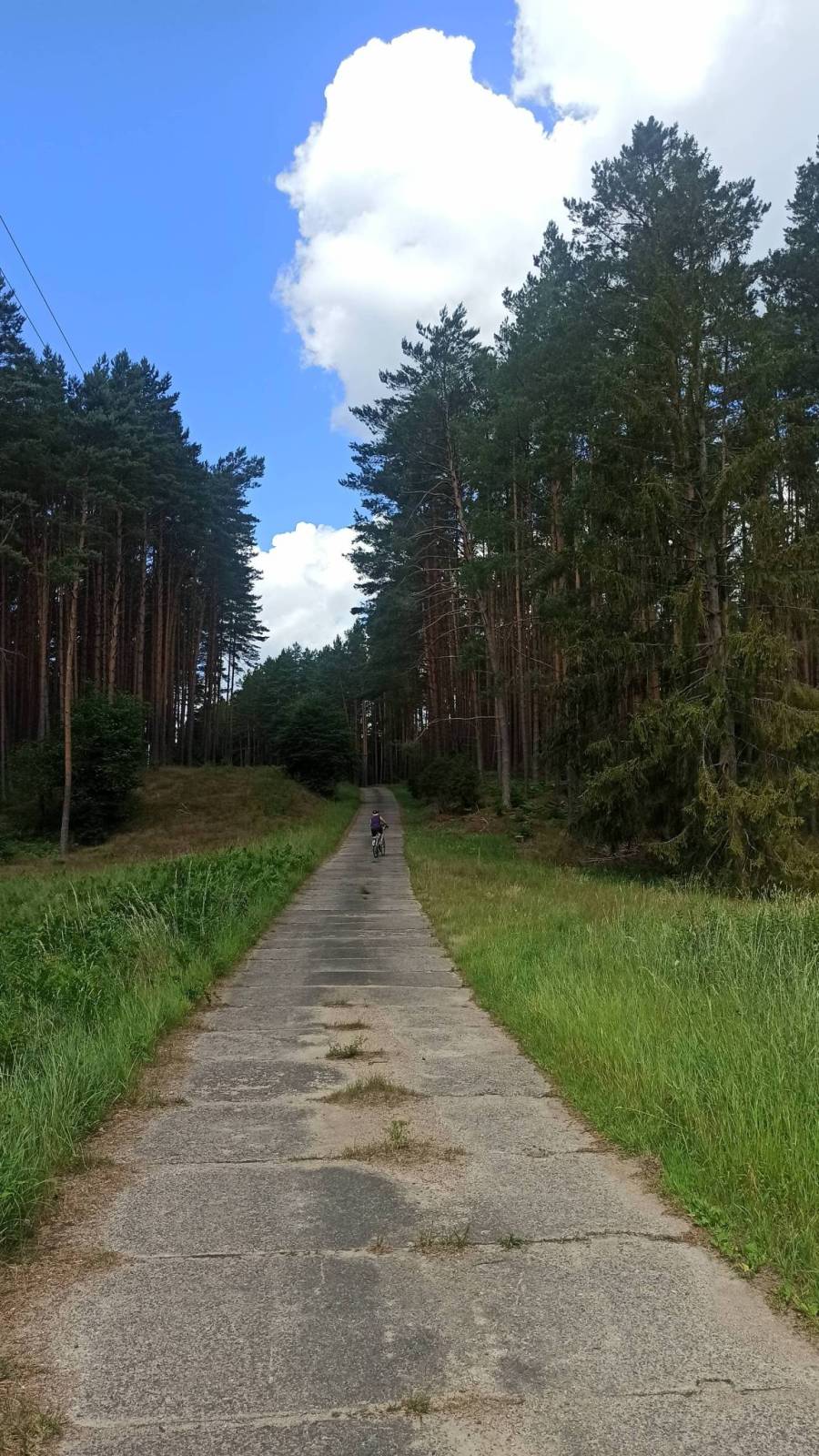 Zdjęcie 5