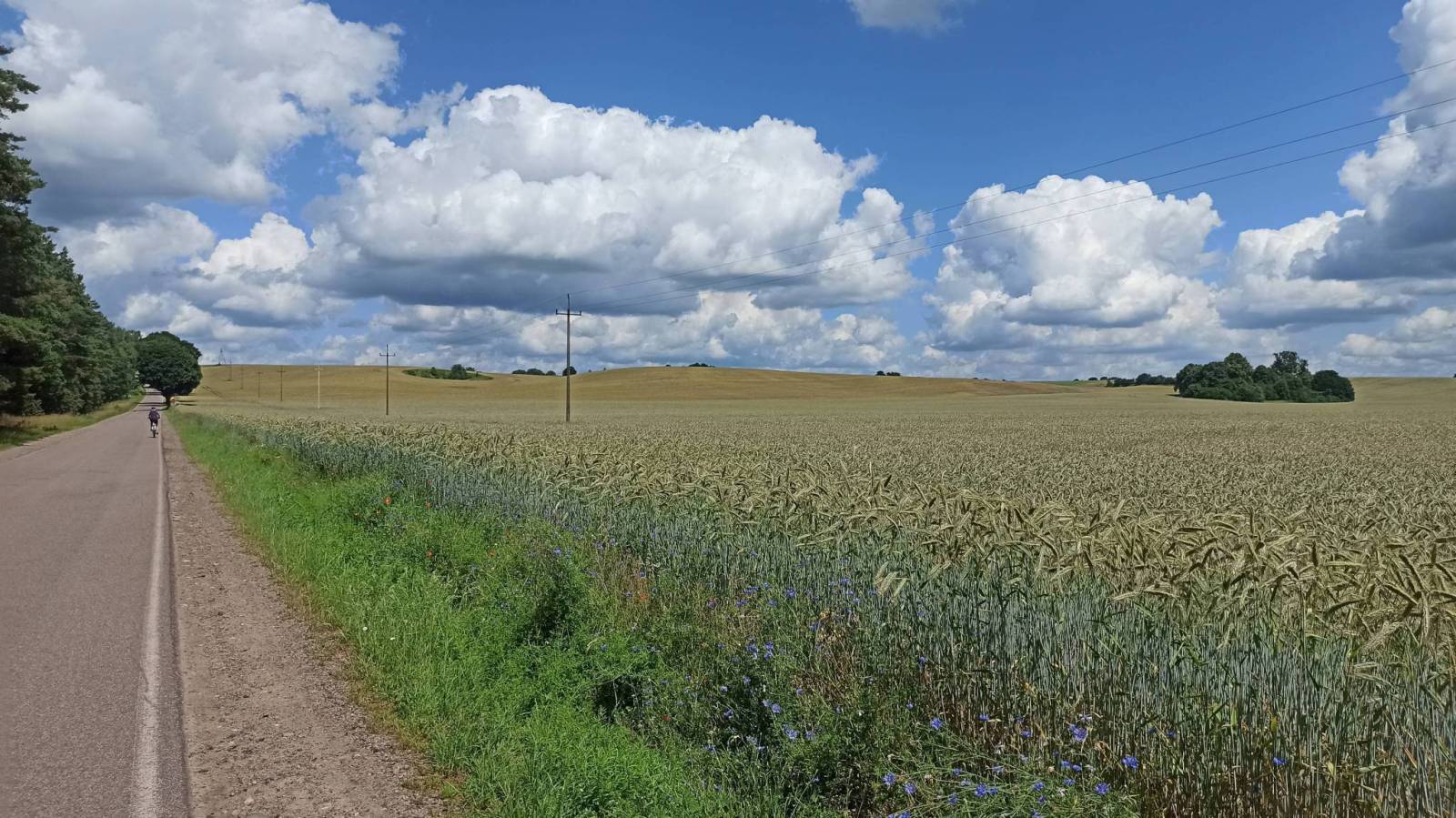 Zdjęcie 6