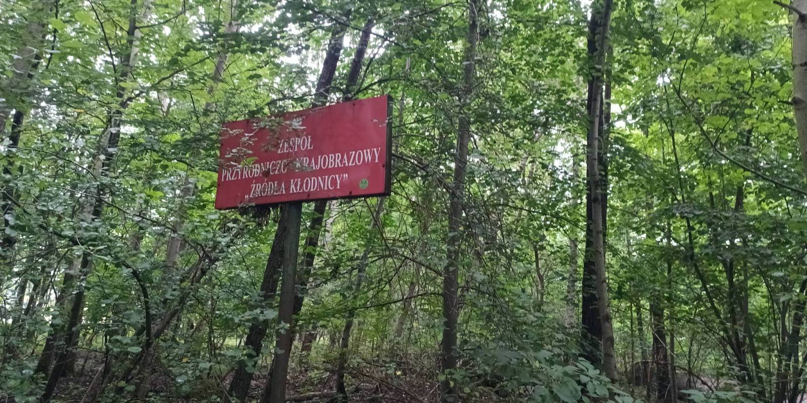 Zdjęcie 4