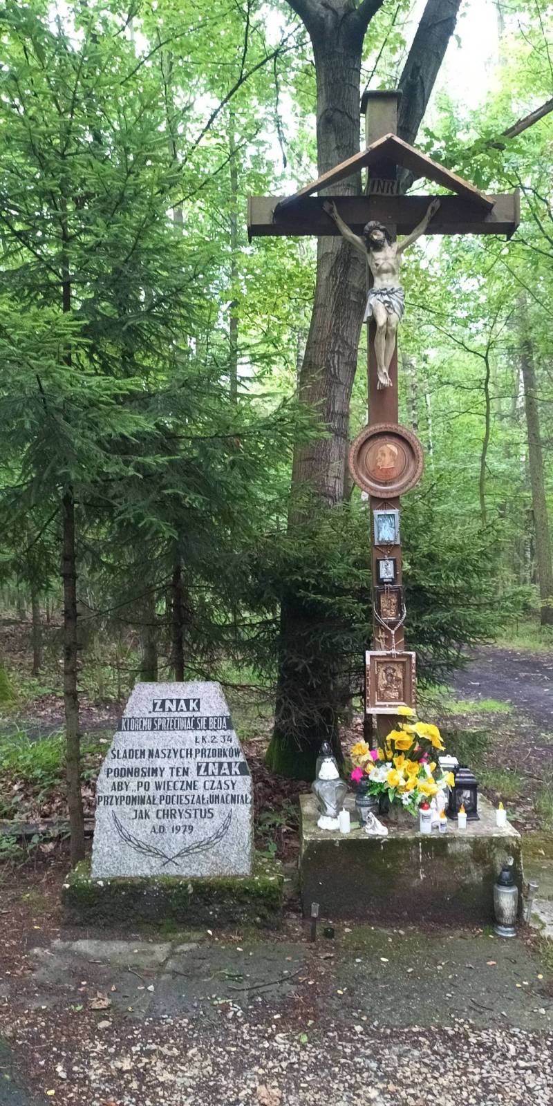 Zdjęcie 6