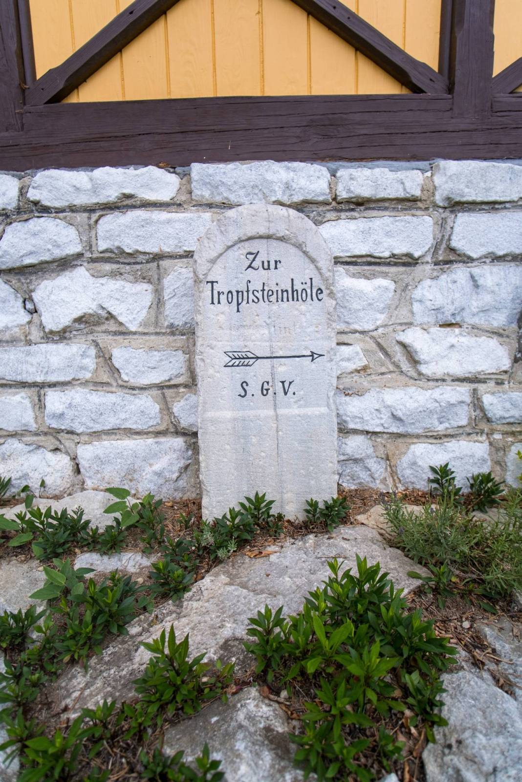 Zdjęcie 2