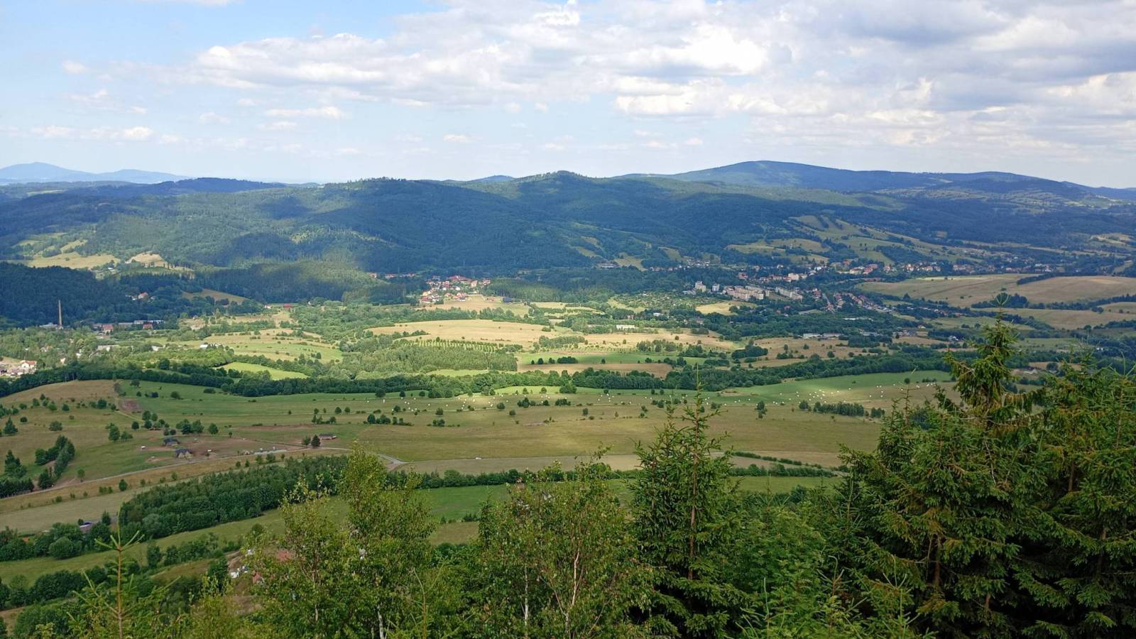 Zdjęcie 3