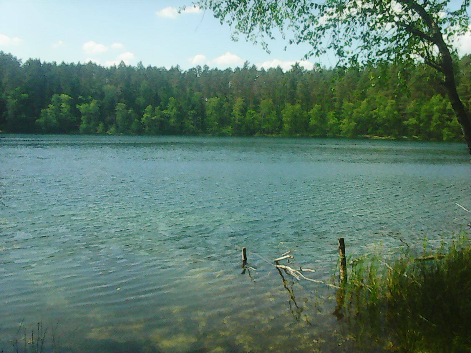 Zdjęcie 1