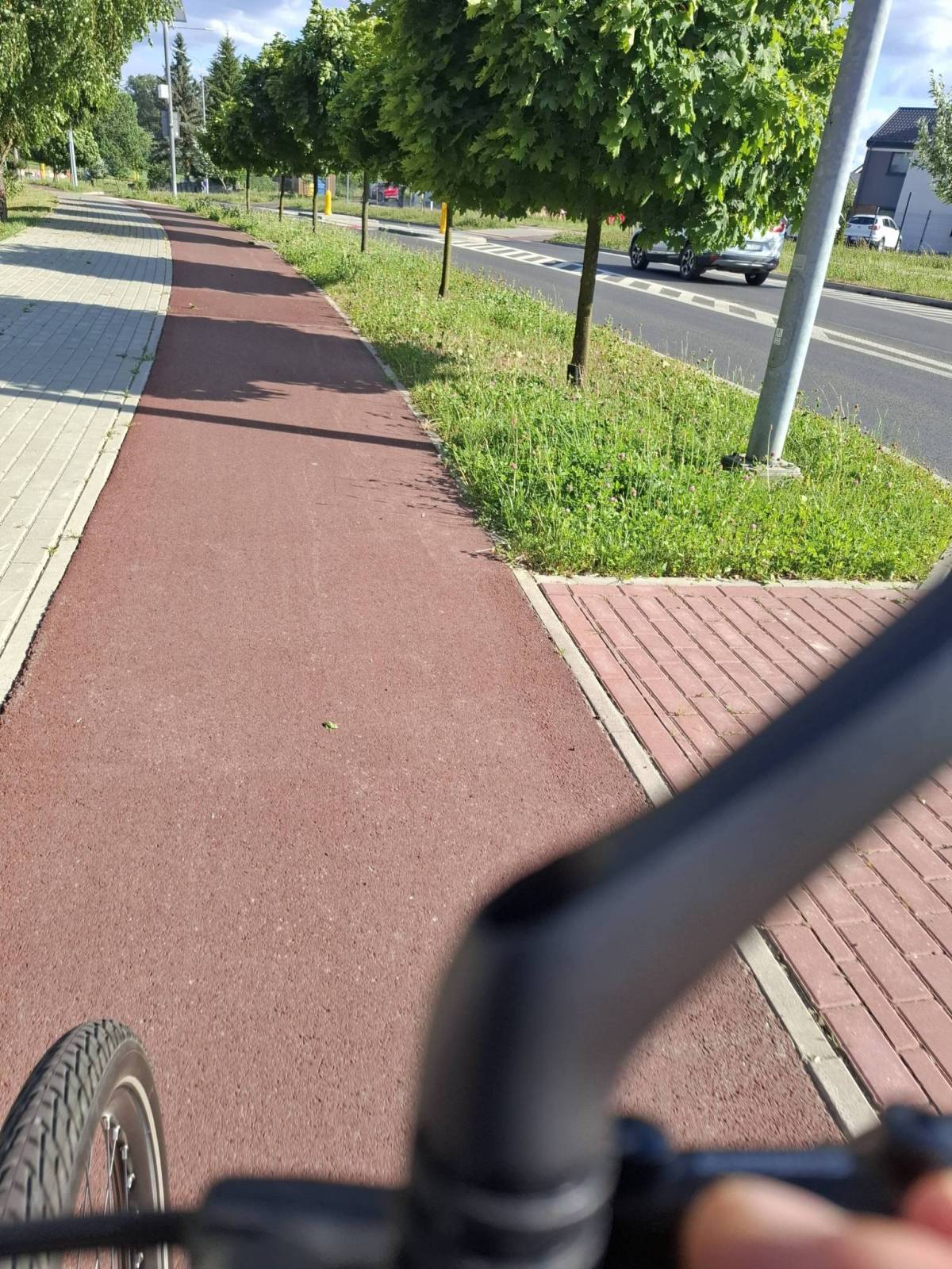 Zdjęcie 1