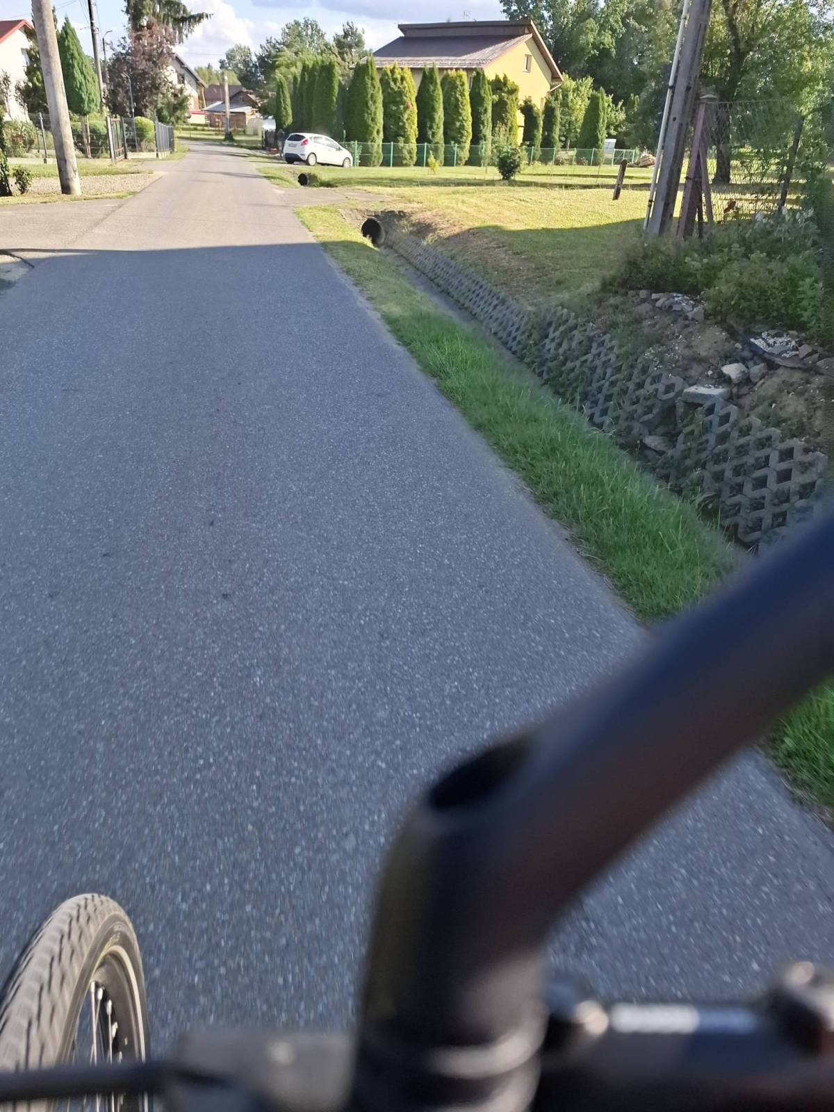 Zdjęcie 3