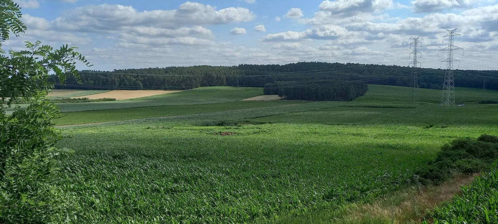 Zdjęcie 6