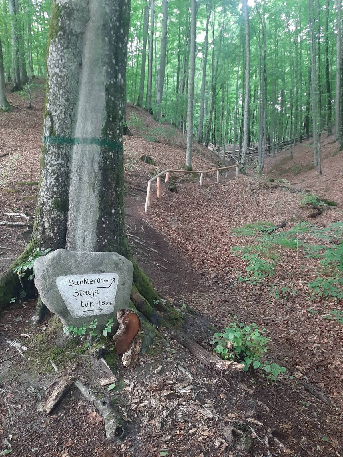 Zdjęcie 6