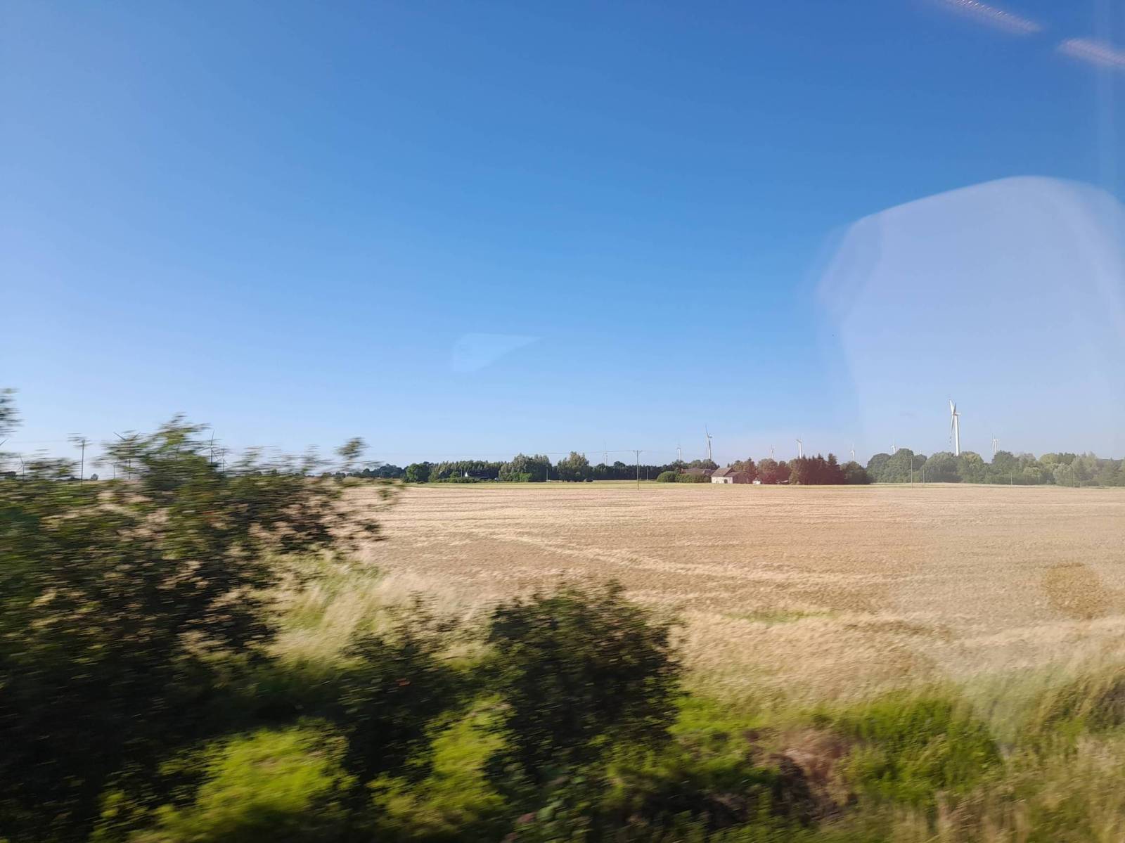 Zdjęcie 6