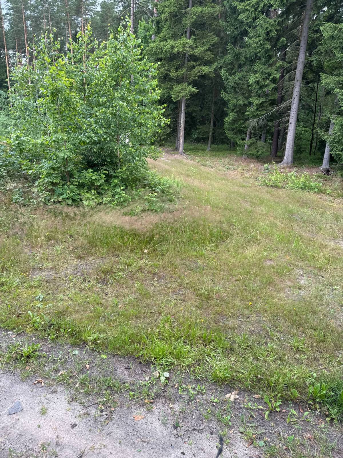 Zdjęcie 3