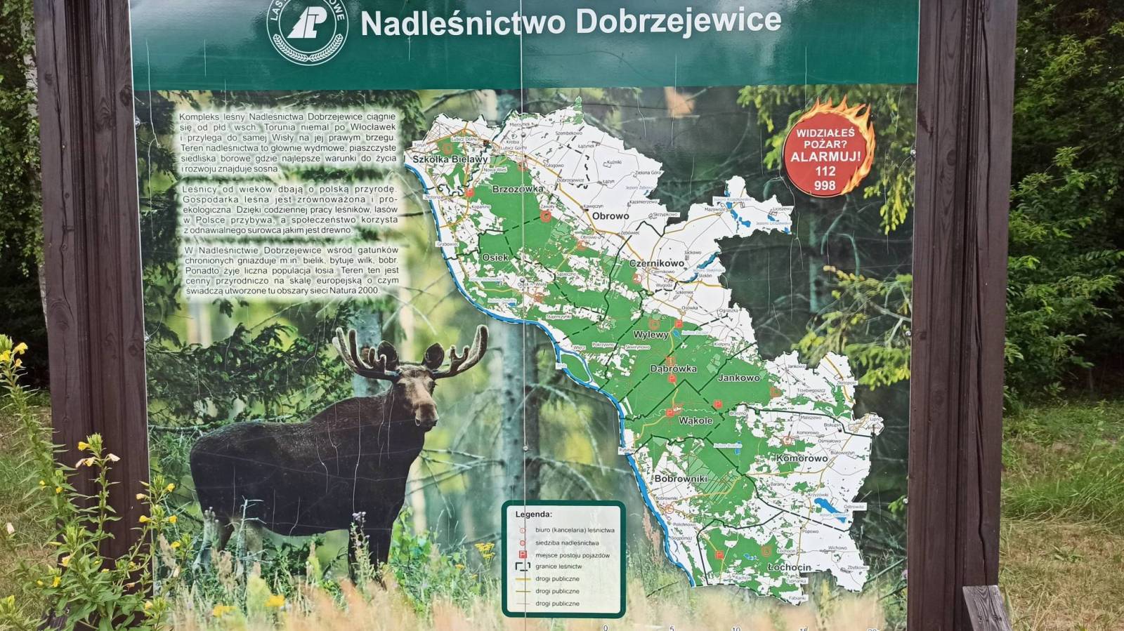 Zdjęcie 3