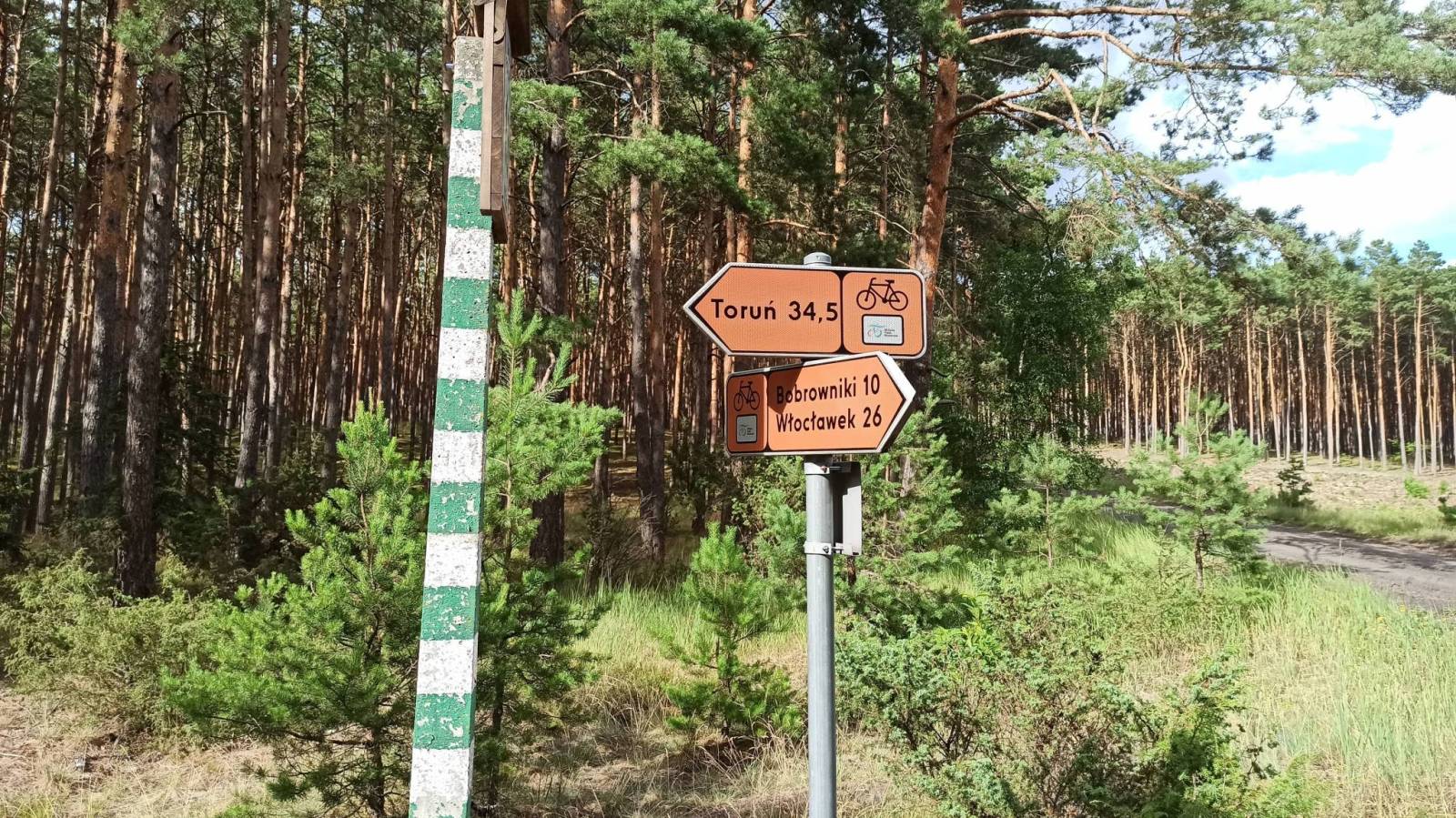Zdjęcie 5