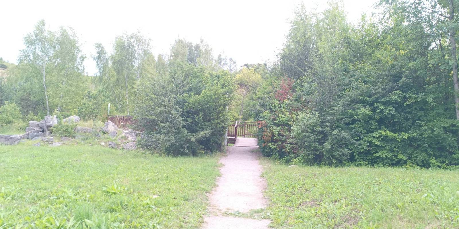 Zdjęcie 1