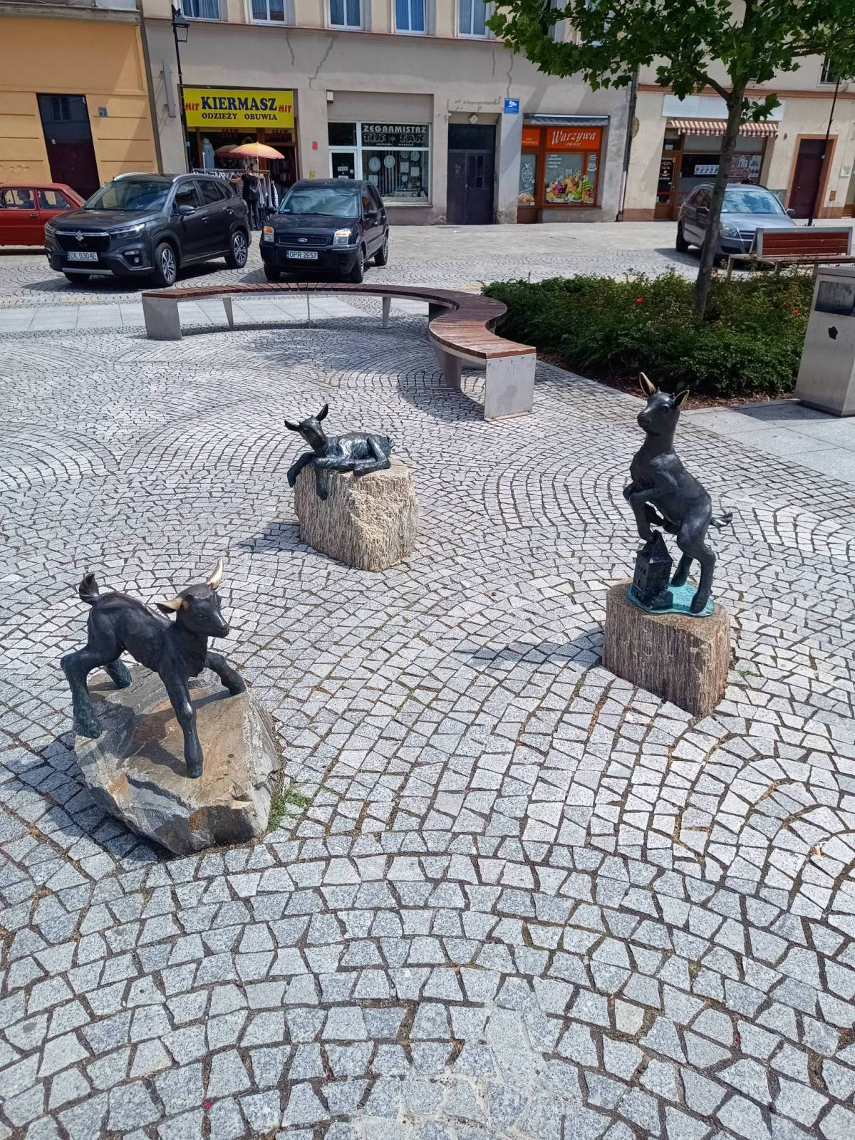Zdjęcie 6