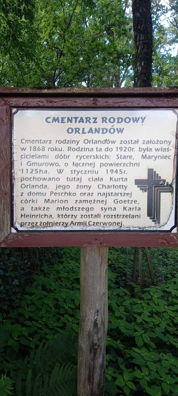 Zdjęcie 2