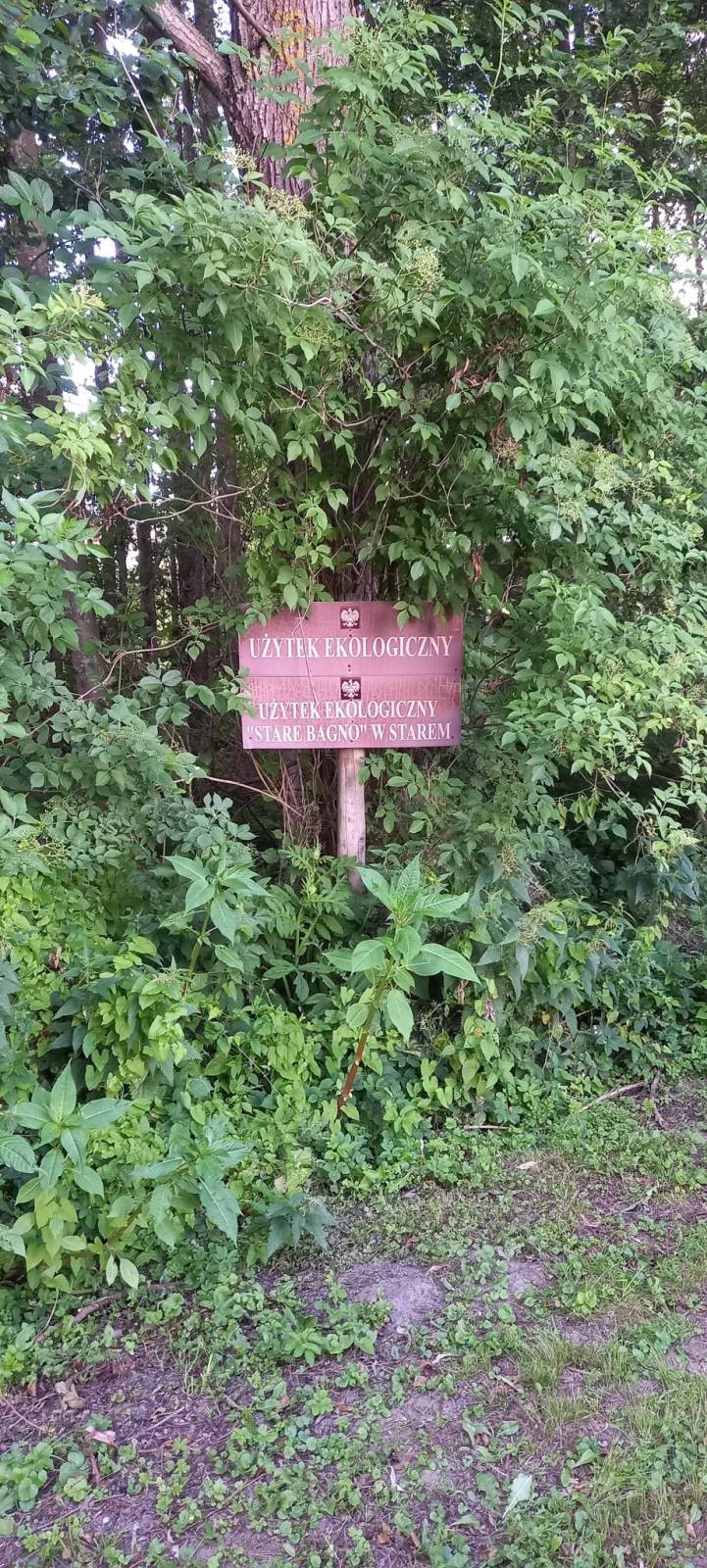 Zdjęcie 4