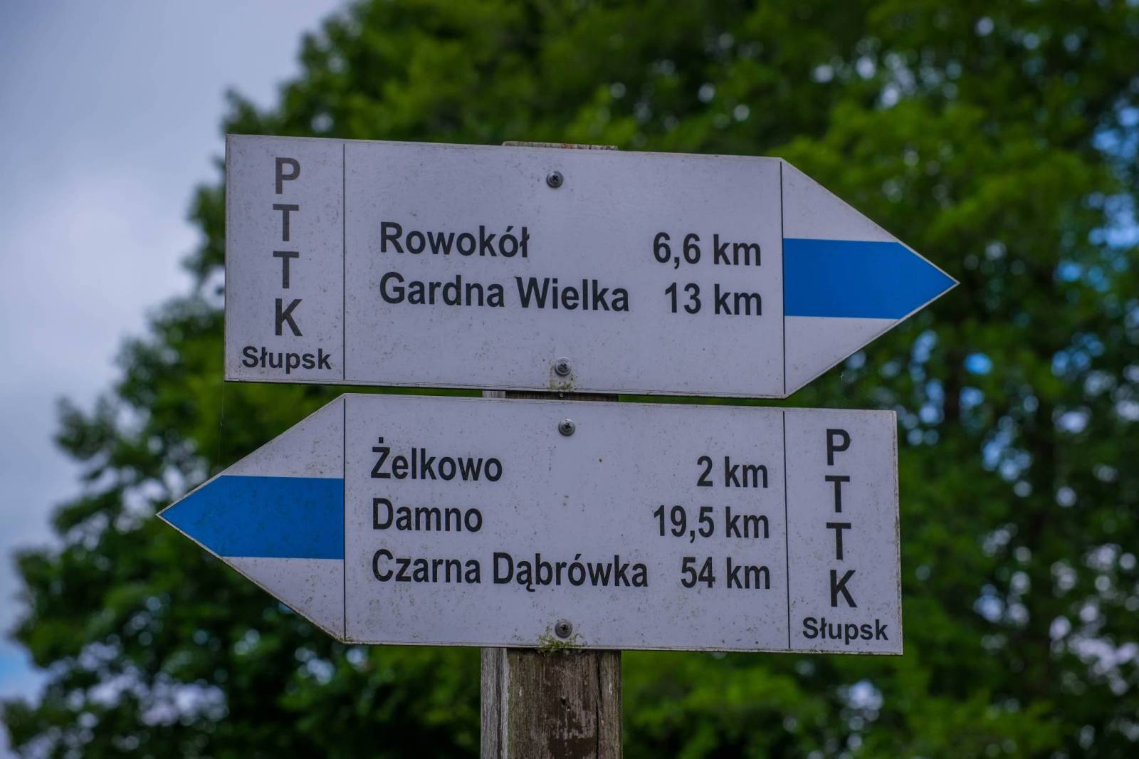 Zdjęcie 3