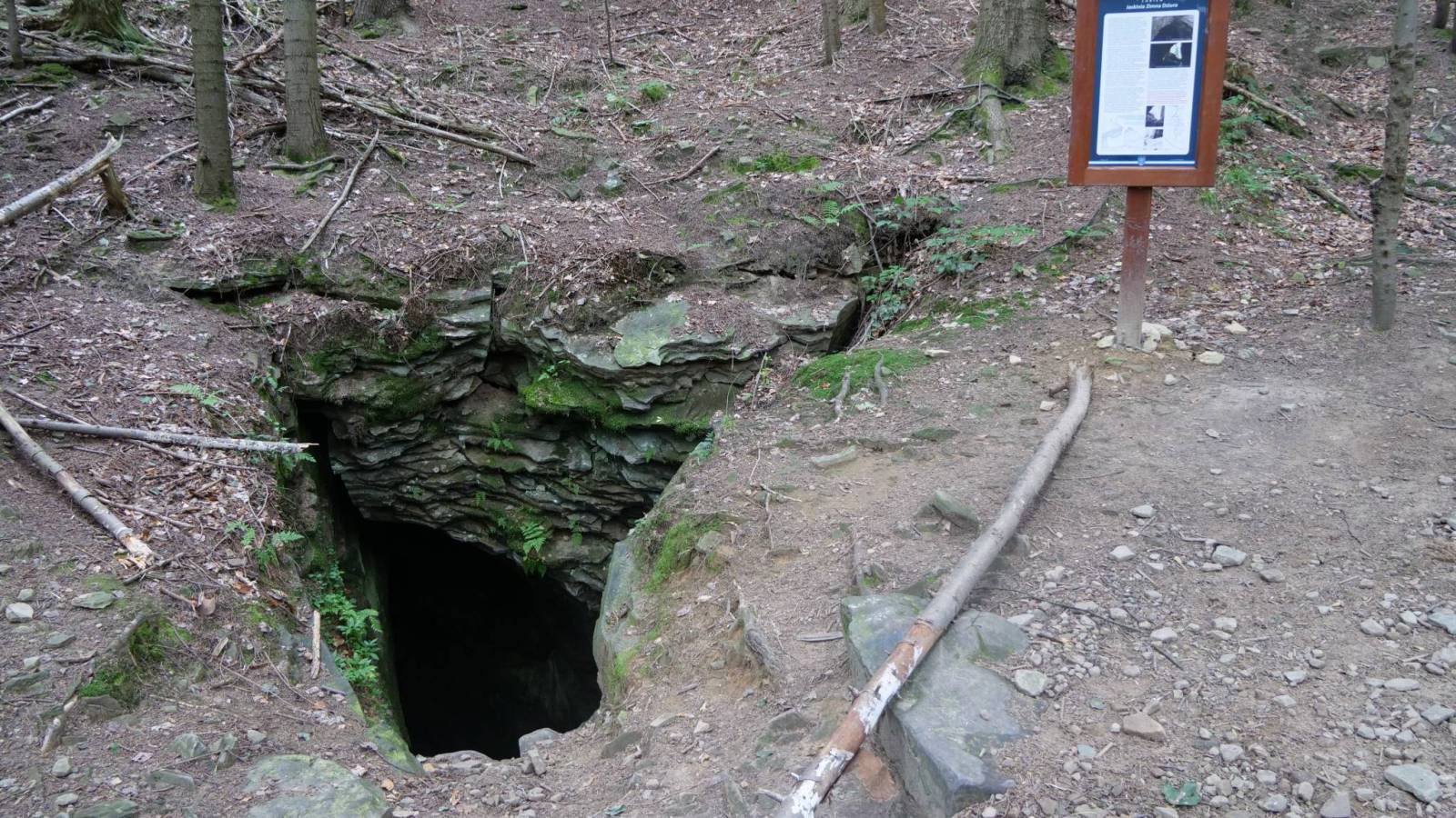 Zdjęcie 3
