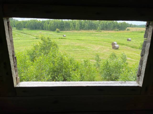 thumb-image