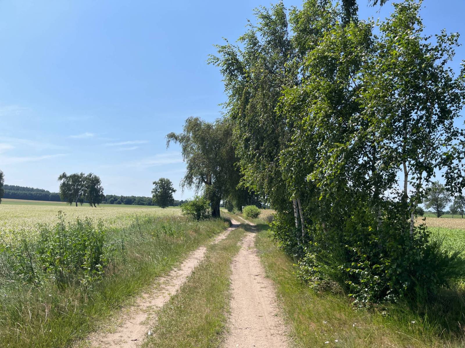 Zdjęcie 5