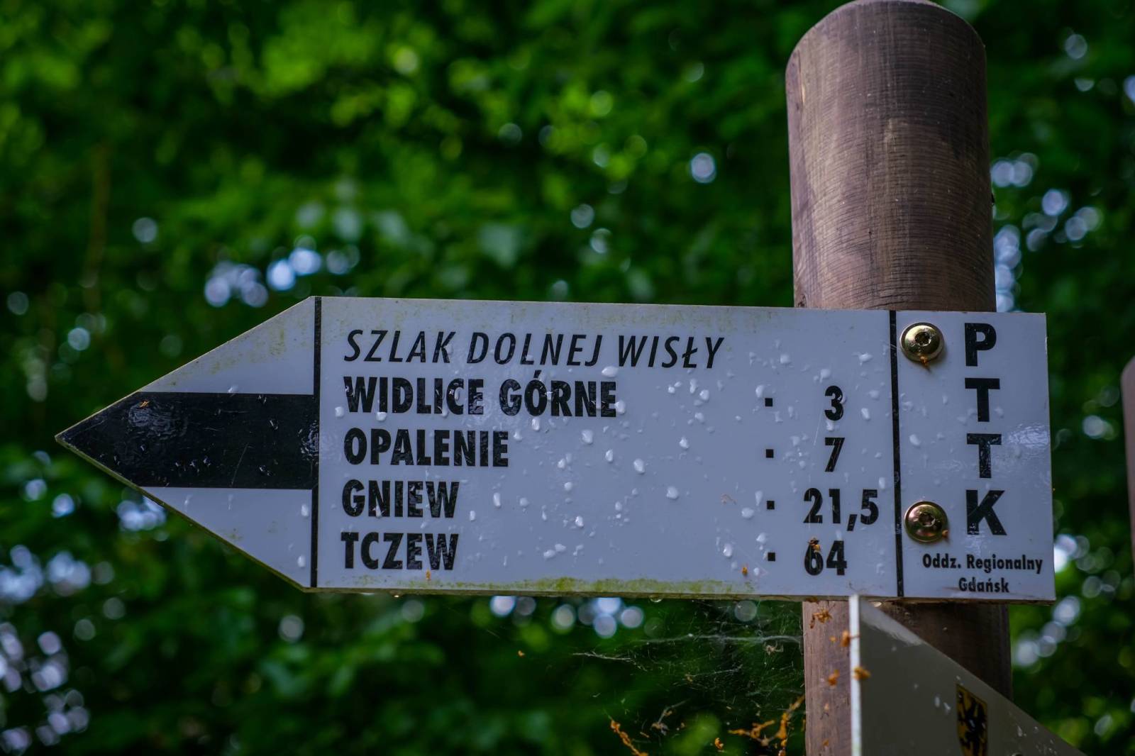 Zdjęcie 5