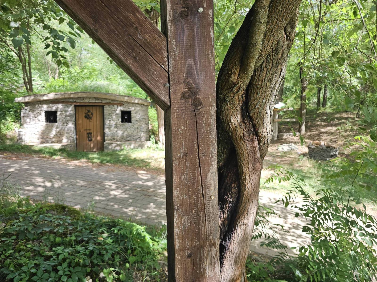 Zdjęcie 2