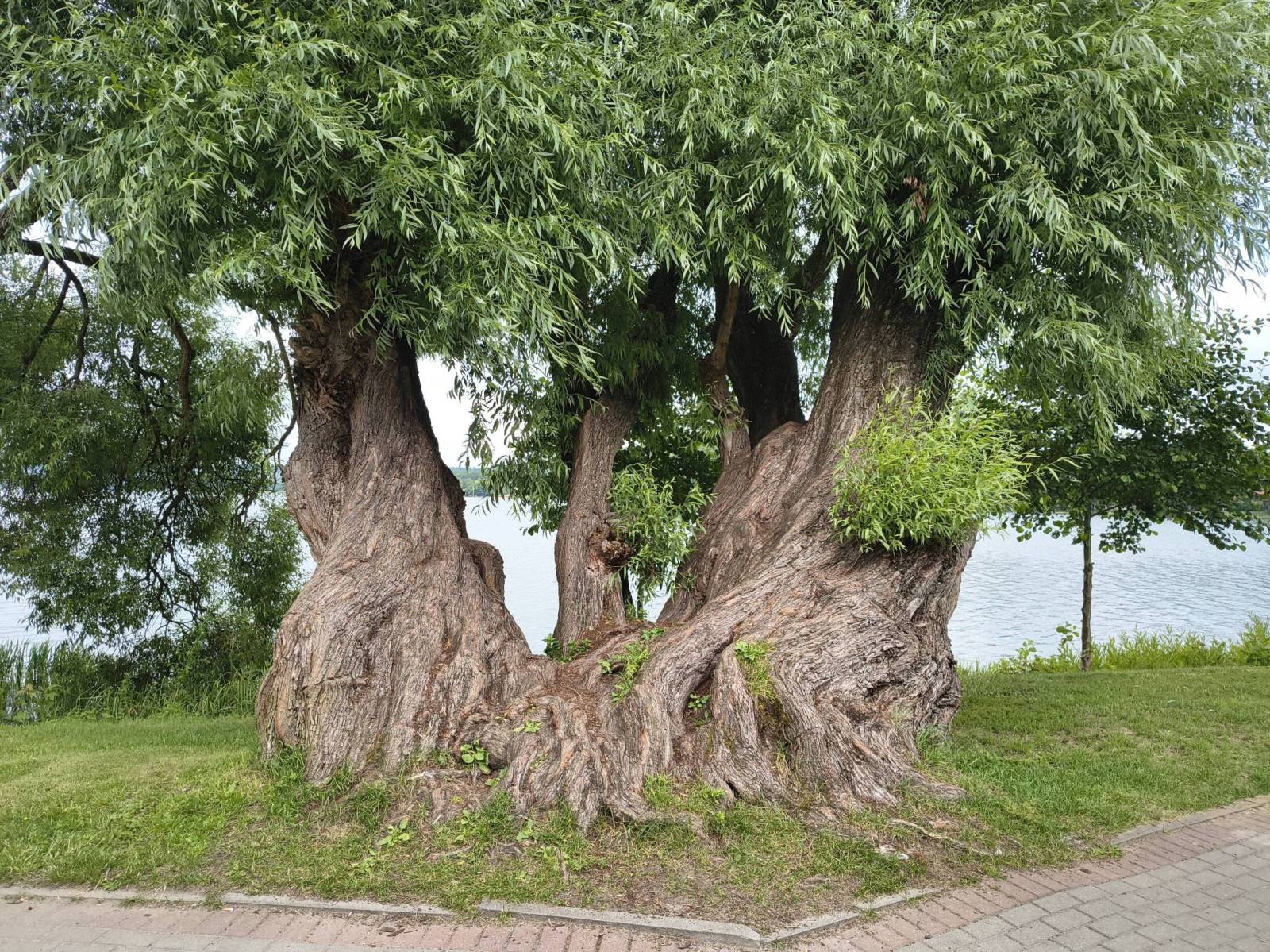 Zdjęcie 4